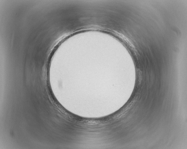 X0000115511318200912181437