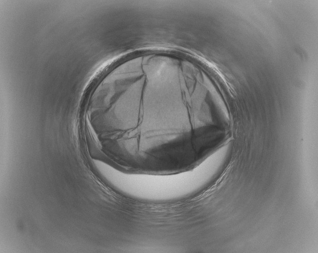 X0000115511319200912181437