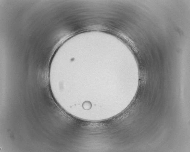 X0000115511322200912181437