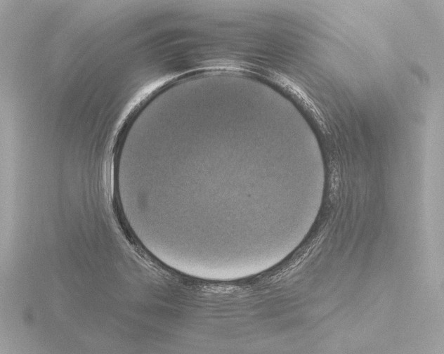 X0000115511323200912181437