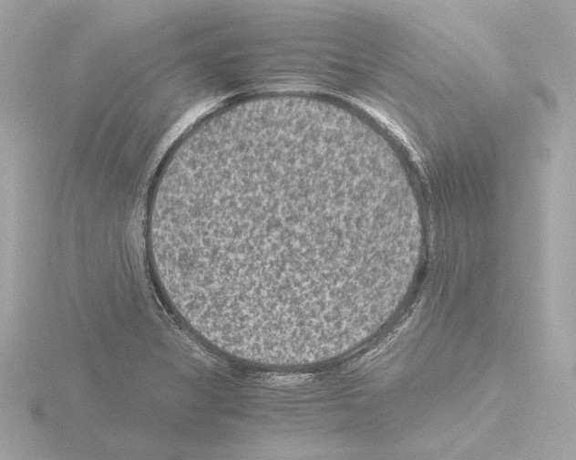 X0000115511325200912181437