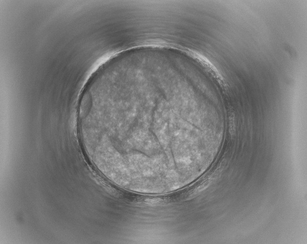 X0000115511326200912181437