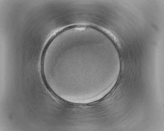 X0000115511327200912181437