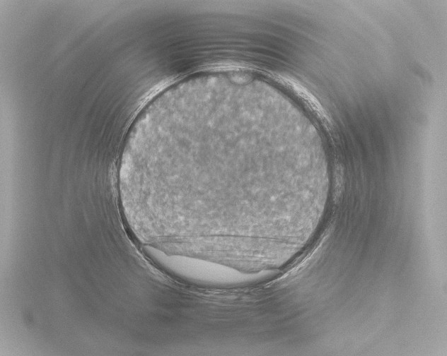 X0000115511329200912181437