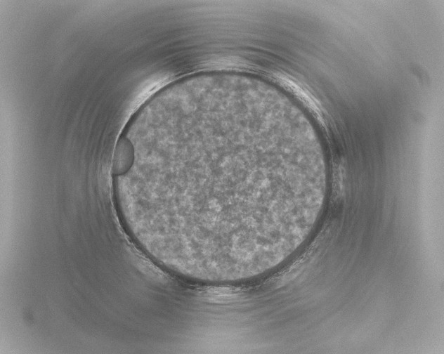 X0000115511330200912181437