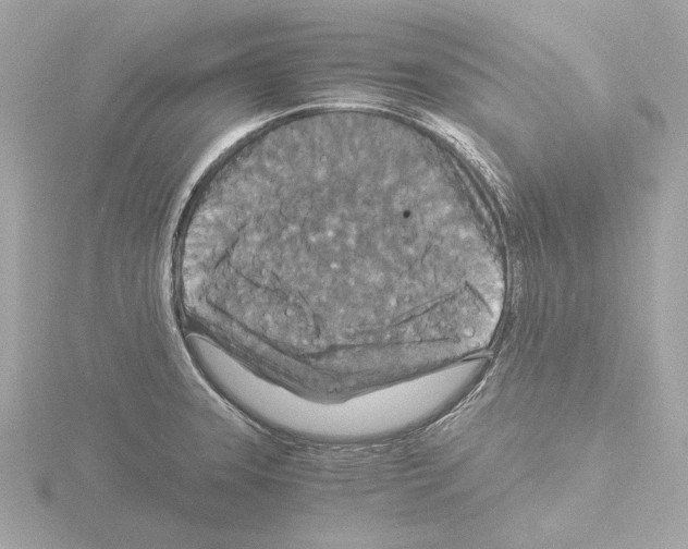 X0000115511331200912181437