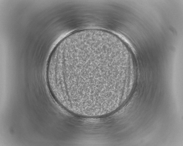 X0000115511333200912181437