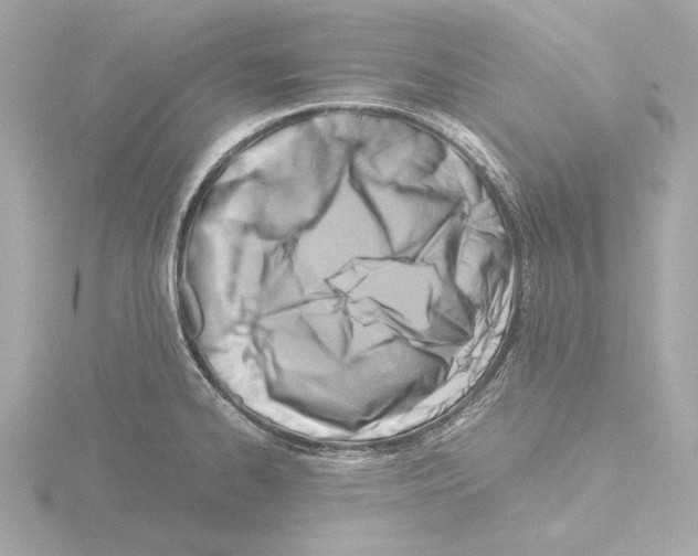 X0000115511334200912181437