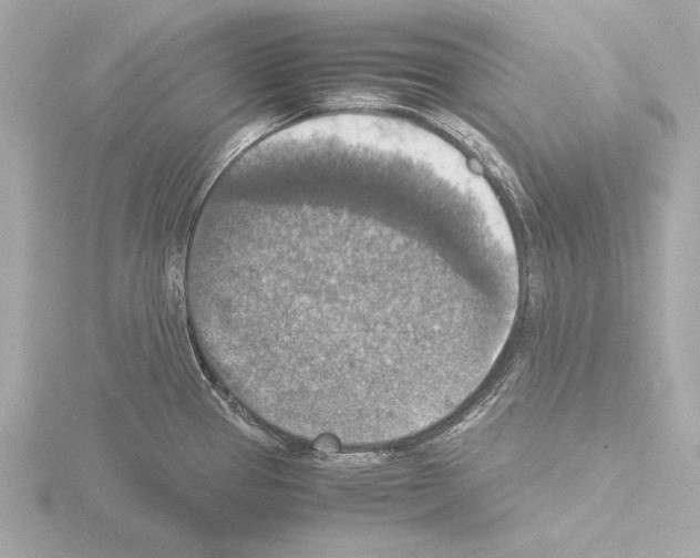 X0000115511337200912181437