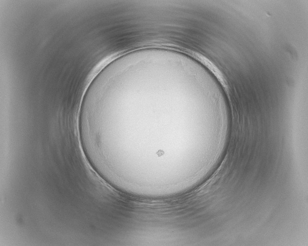 X0000115511338200912181437