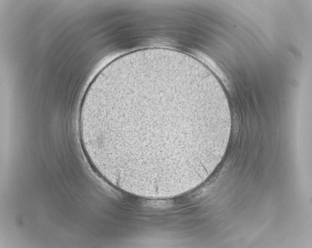 X0000115511339200912181437