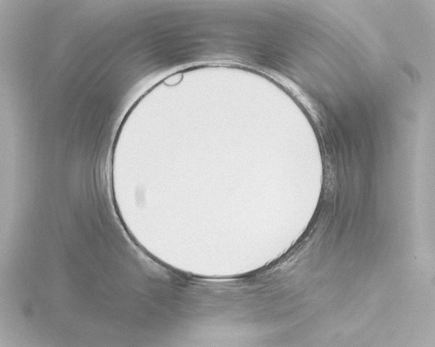 X0000115511343200912181437