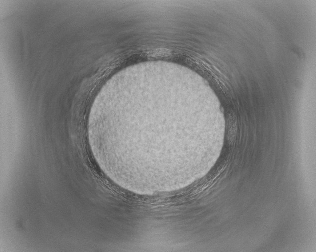 X0000115511345200912181437