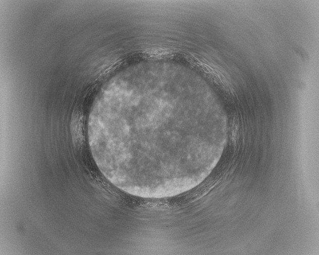 X0000115511346200912181437