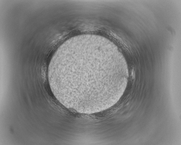 X0000115511348200912181437