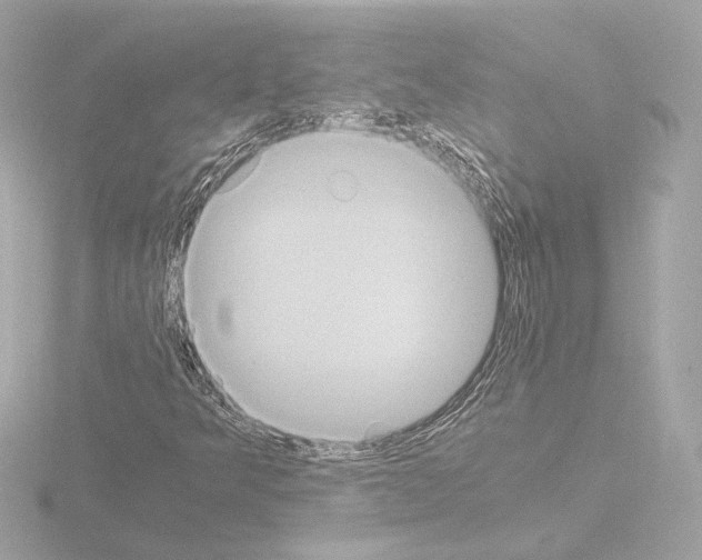 X0000115511349200912181437