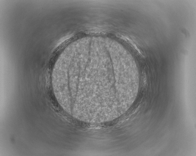 X0000115511350200912181437