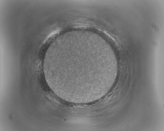 X0000115511351200912181437