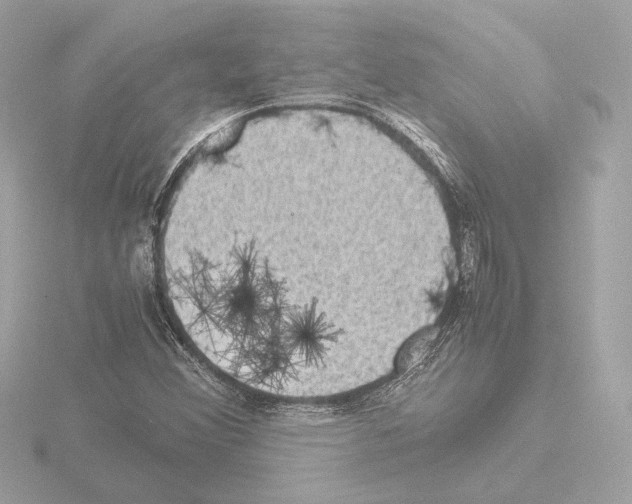 X0000115511356200912181437