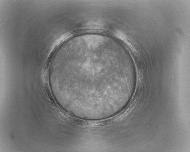 X0000115511357200912181437