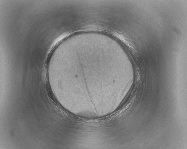 X0000115511358200912181437