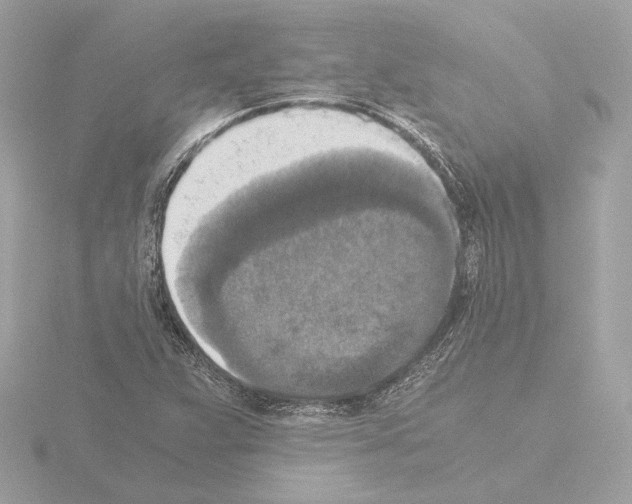 X0000115511359200912181437