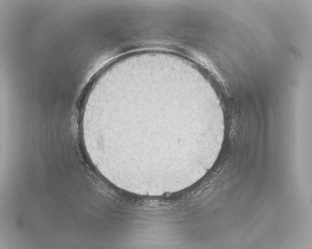 X0000115511360200912181437