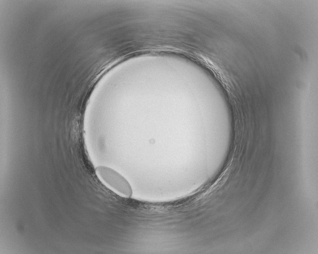 X0000115511361200912181437