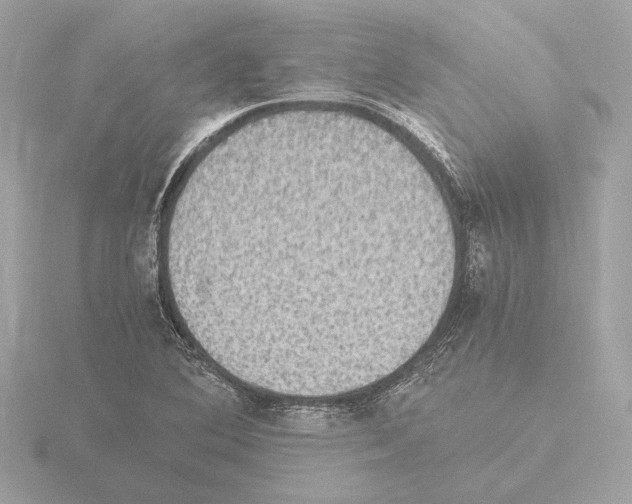 X0000115511364200912181436