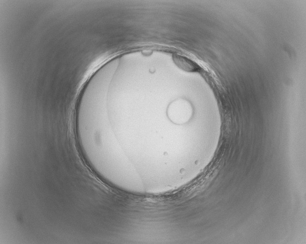 X0000115511365200912181436