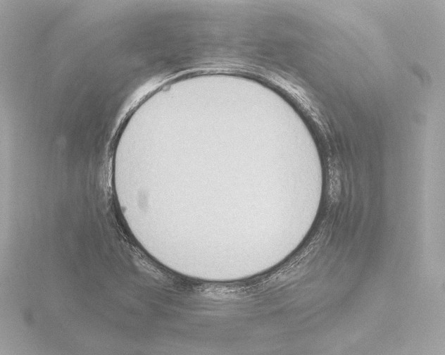 X0000115511366200912181436