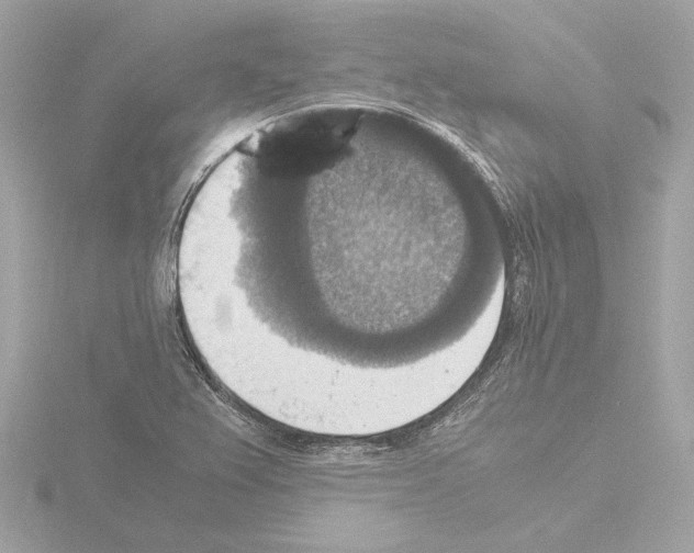 X0000115511367200912181436