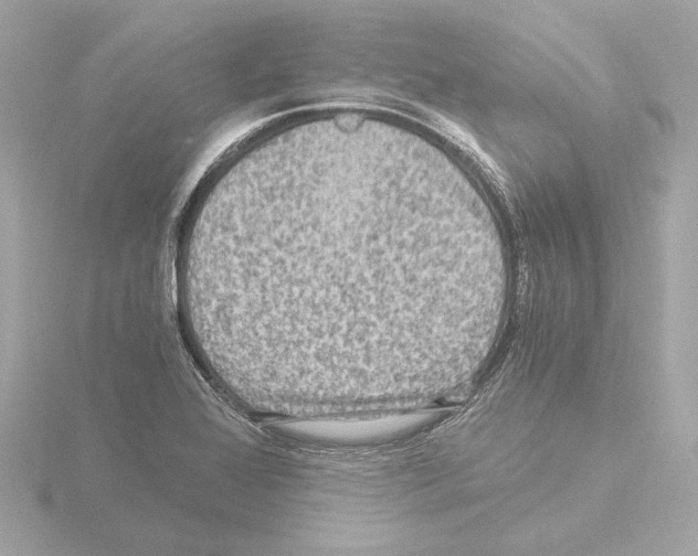 X0000115511368200912181436