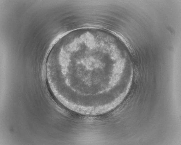 X0000115511371200912181436