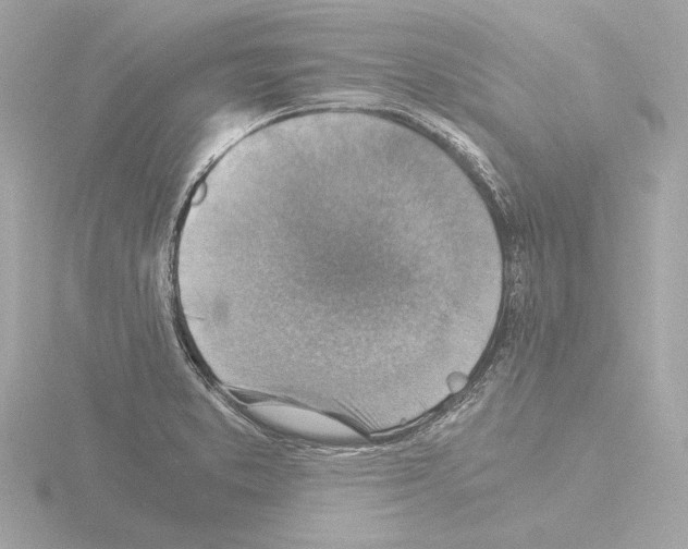 X0000115511373200912181436