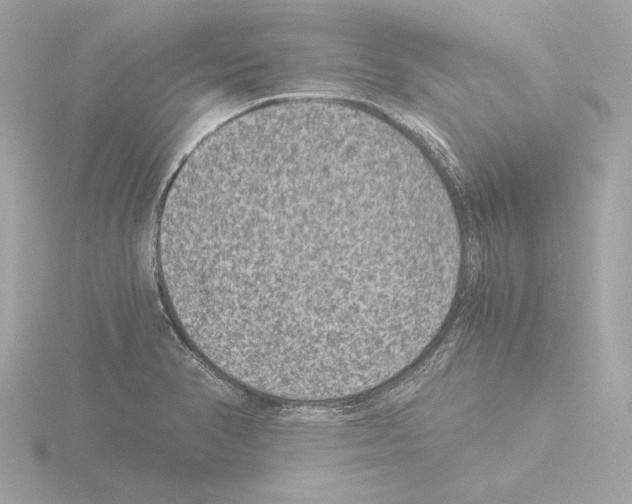 X0000115511374200912181436