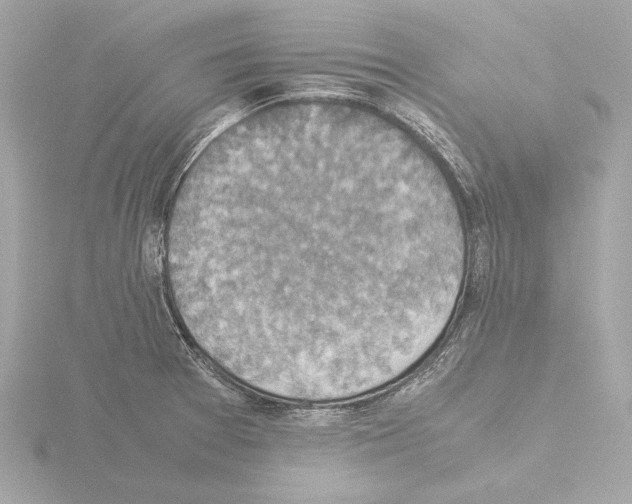 X0000115511377200912181436