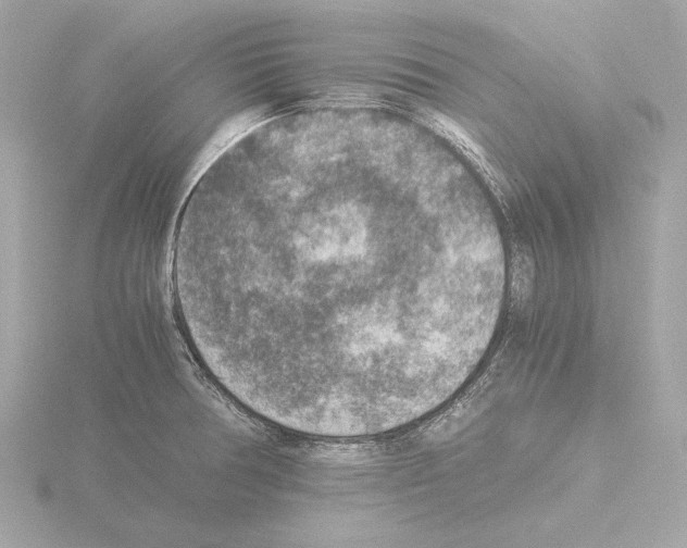 X0000115511378200912181436