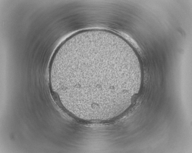 X0000115511380200912181436