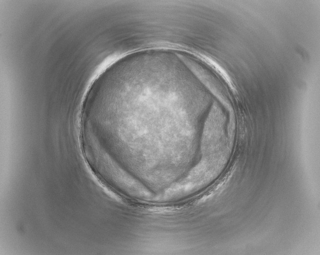 X0000115511381200912181436