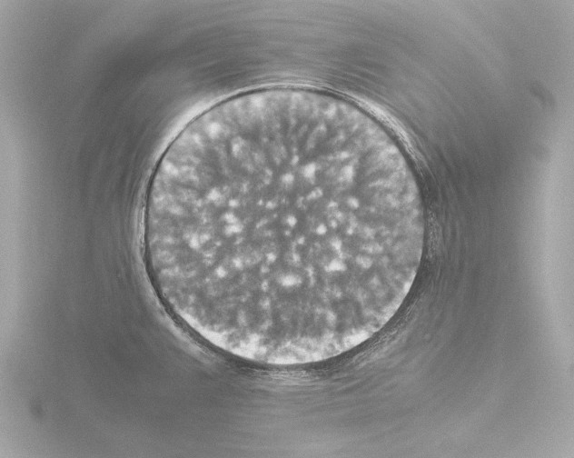 X0000115511383200912181436