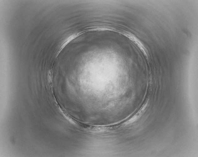 X0000115511385200912181436