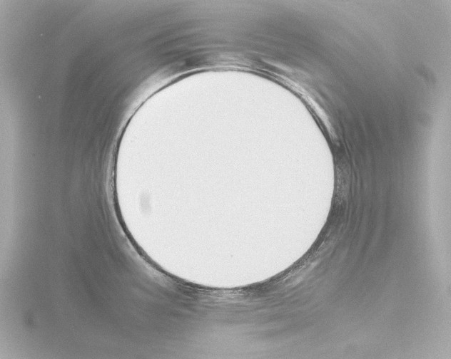 X0000115511387200912181436