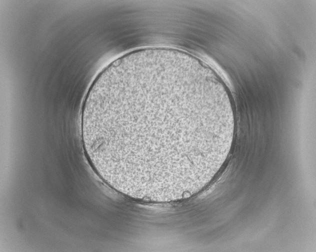 X0000115511388200912181436