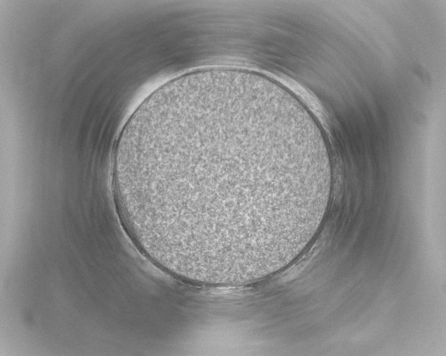 X0000115511390200912181436