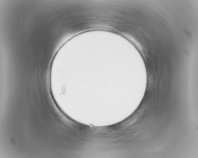 X0000115511391200912181436