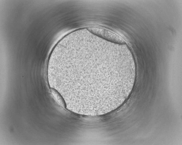 X0000115511392200912181436