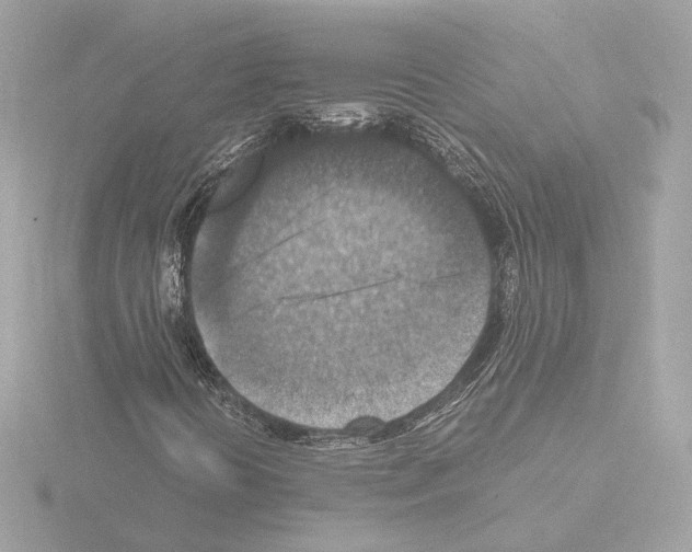 X0000115511394200912181435