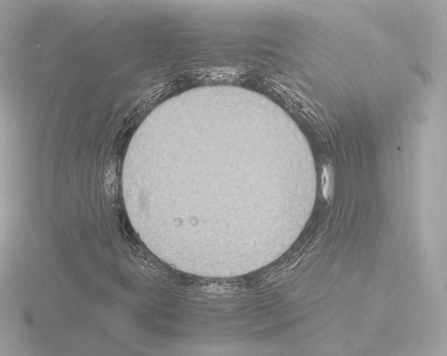 X0000115511395200912181435