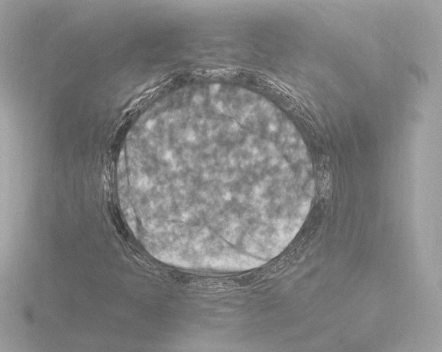 X0000115511397200912181435